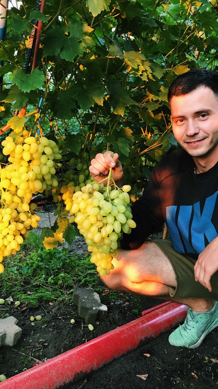 Питомник растительных культур семьи Пухальских